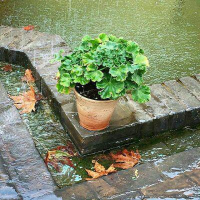 ازدواج و معیارهای انتخاب همسر